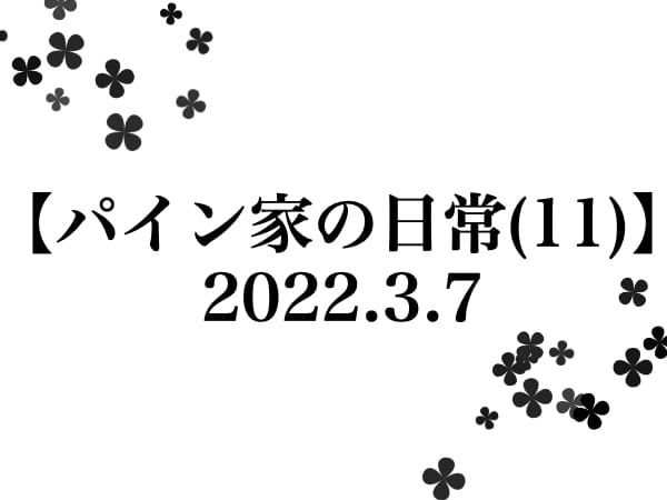 【パイン家の日常(11)】
2022.3.7